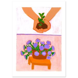 Wild Petunia | פיטוניה פראית