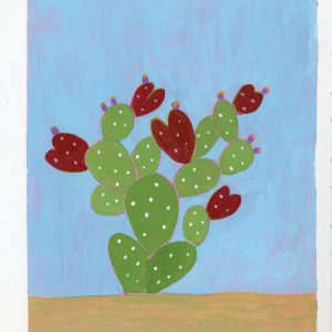 צבר | Cactus