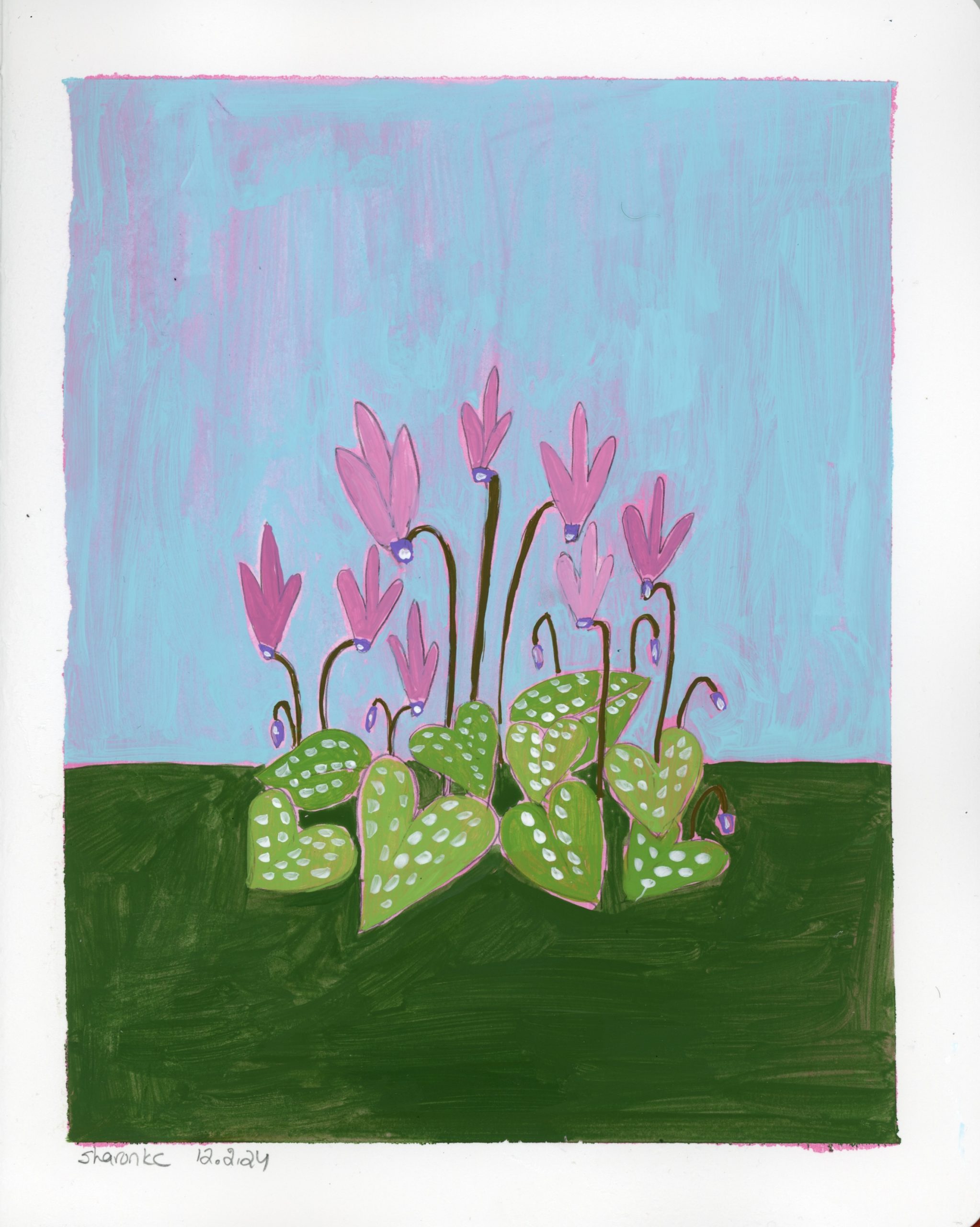 Cyclamen